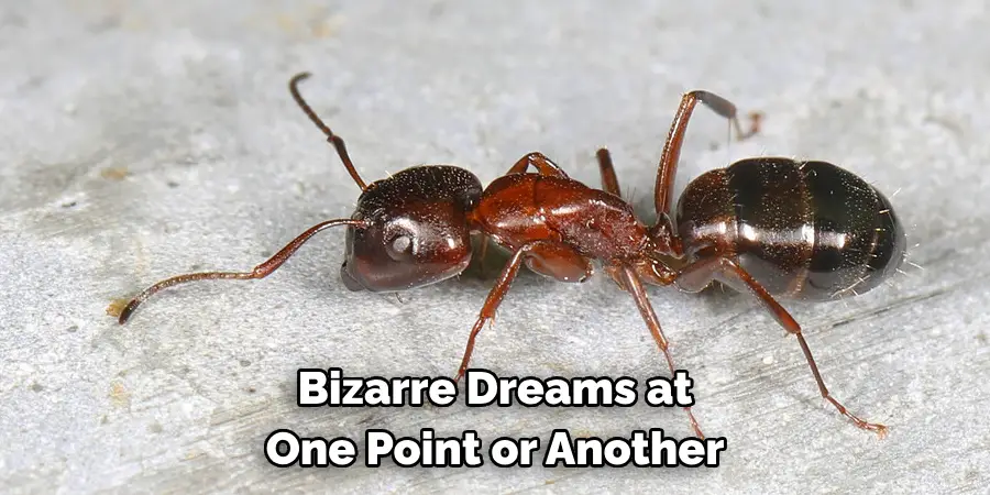 Bizarre Dreams at 
One Point or Another