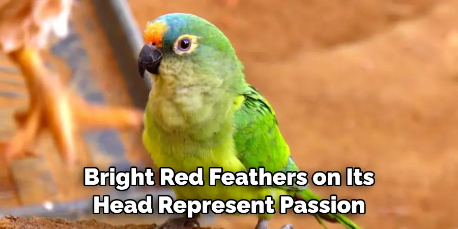 Bright Red Feathers on Its Head Represent Passion
