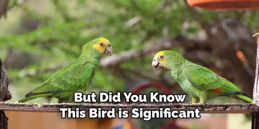 But Did You Know This Bird is Significant