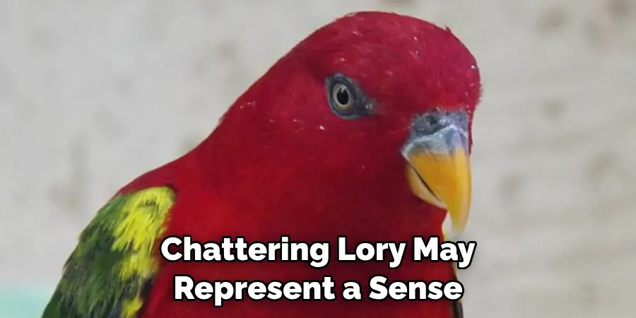 Chattering Lory May Represent a Sense