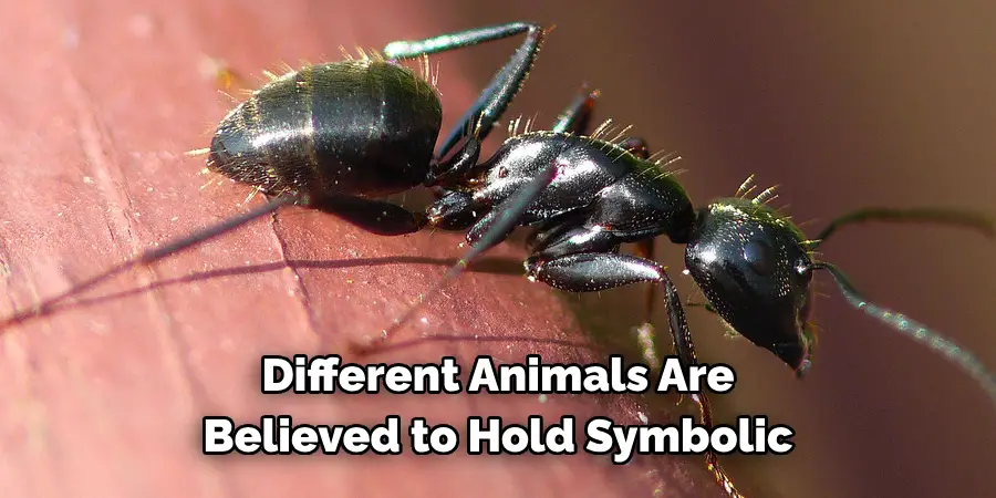 Different Animals Are 
Believed to Hold Symbolic 