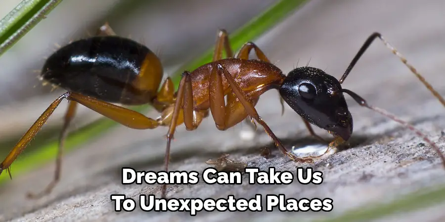 Dreams Can Take Us 
To Unexpected Places