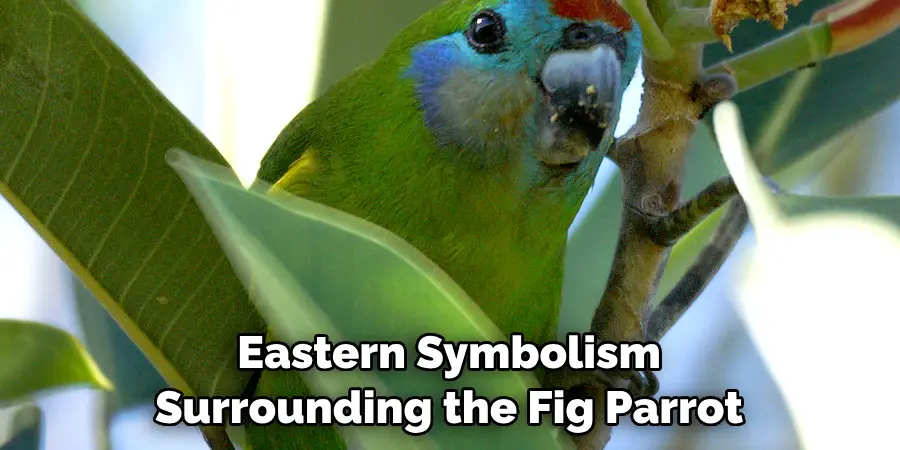 Eastern Symbolism Surrounding the Fig Parrot