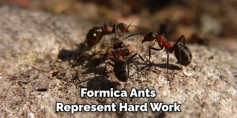 Formica Ants Represent Hard Work