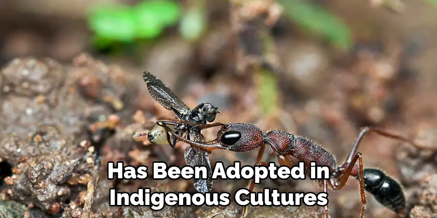 Has Been Adopted in Indigenous Cultures