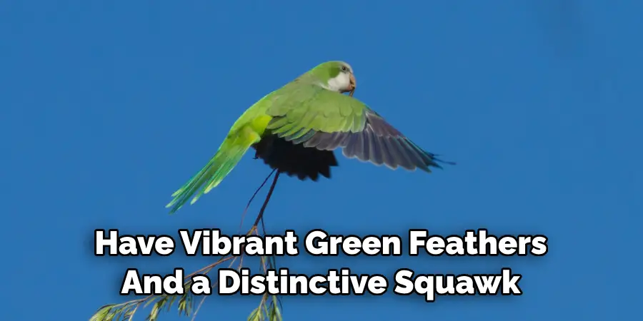 Have Vibrant Green Feathers And a Distinctive Squawk