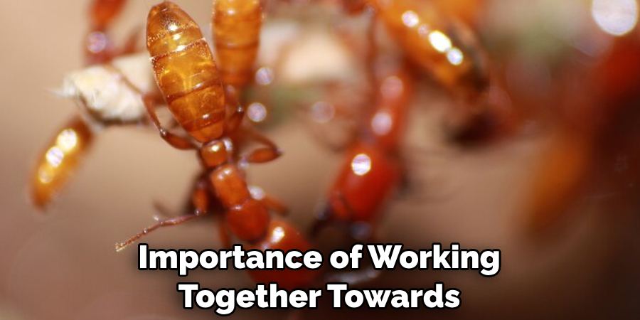 Importance of Working Together Towards