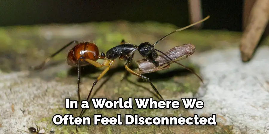 In a World Where We Often Feel Disconnected