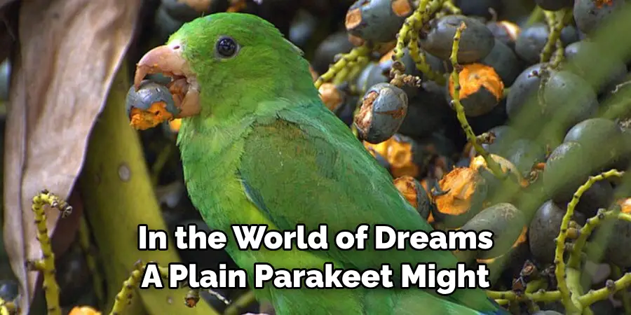 In the World of Dreams A Plain Parakeet Might