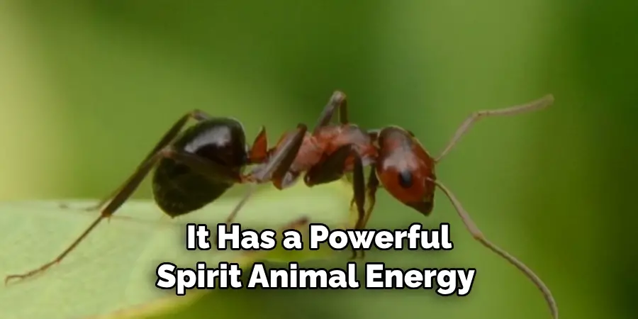 it has a powerful spirit animal energy