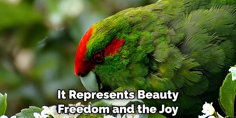 It Represents Beauty Freedom and the Joy