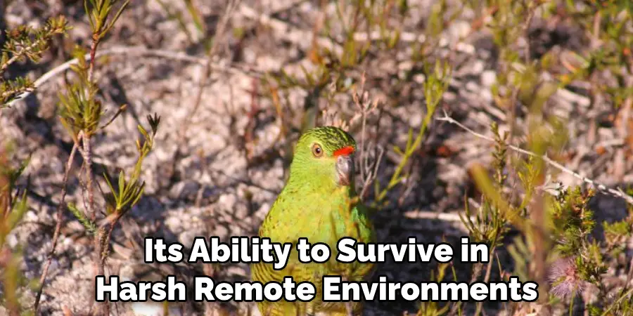 Its Ability to Survive in Harsh Remote Environments