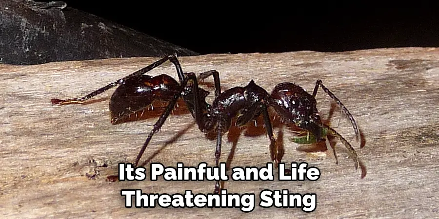 Its Painful and Life Threatening Sting