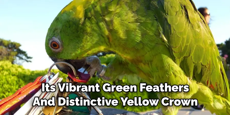 Its Vibrant Green Feathers And Distinctive Yellow Crown