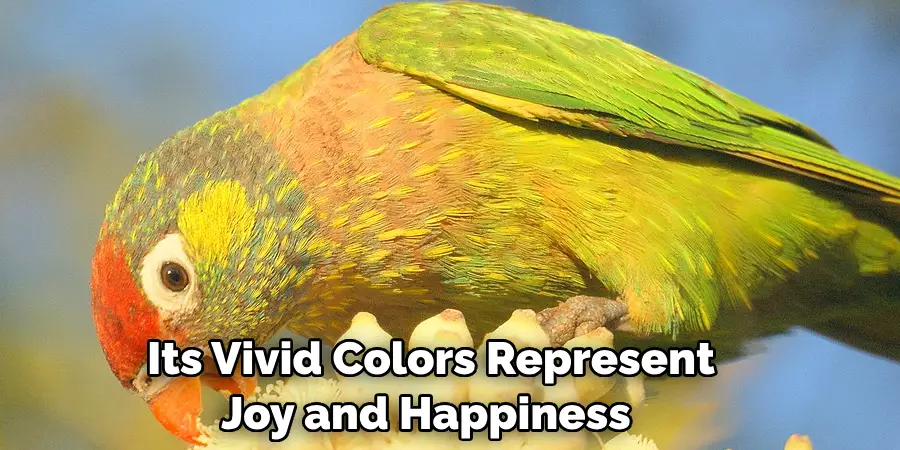 Its Vivid Colors Represent Joy and Happiness