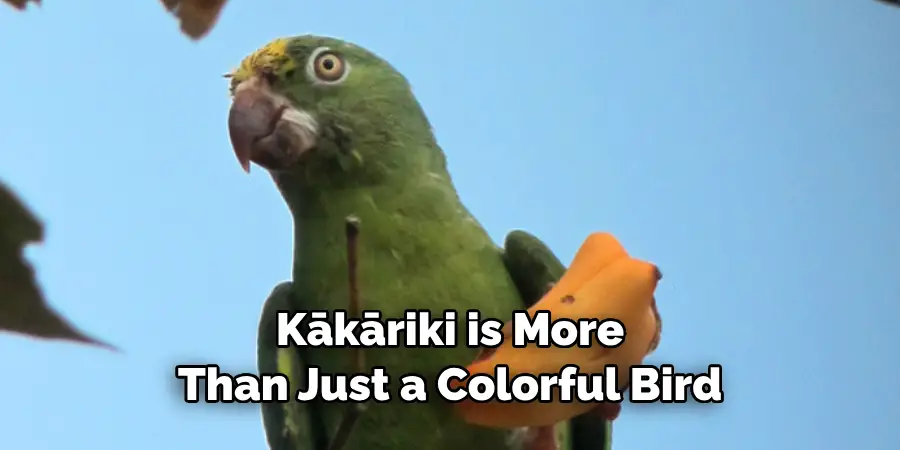 Kākāriki is More Than Just a Colorful Bird