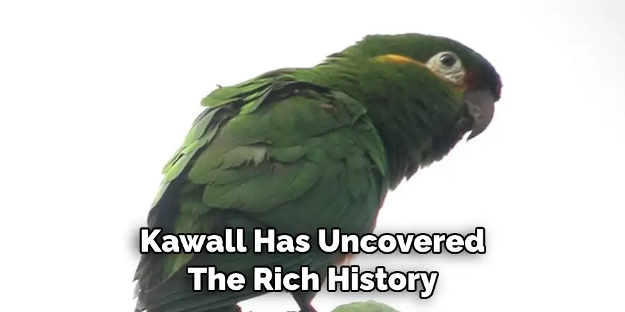 Kawall Has Uncovered The Rich History