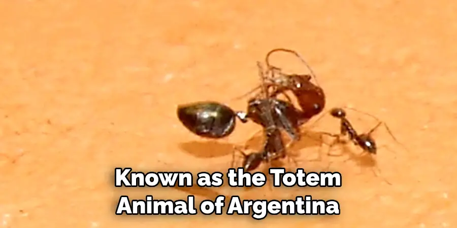 Known as the Totem Animal of Argentina