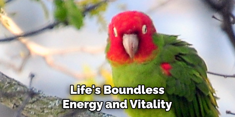 Life's Boundless Energy and Vitality