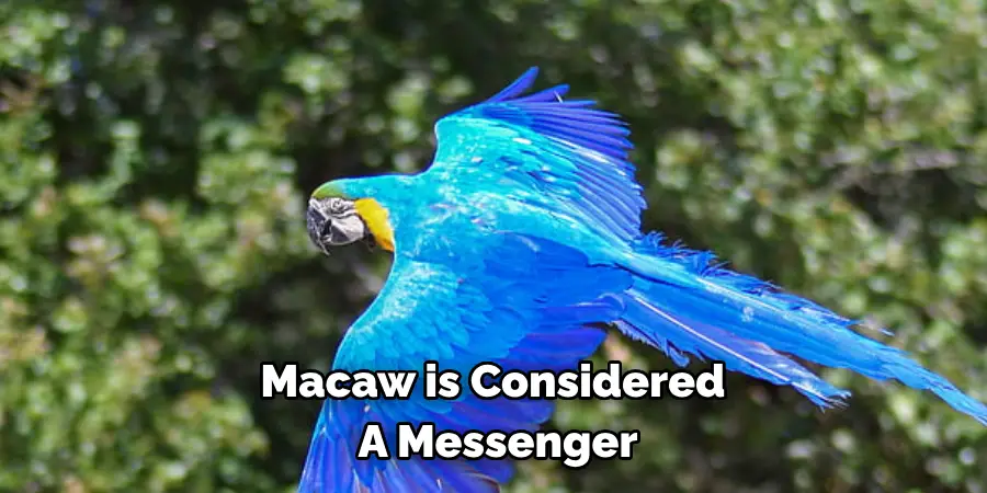 Macaw is Considered A Messenger