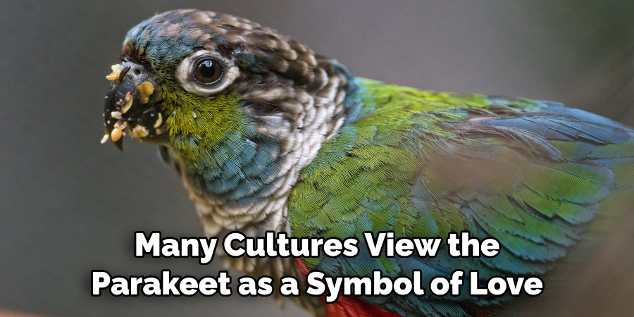 Many Cultures View the Parakeet as a Symbol of Love