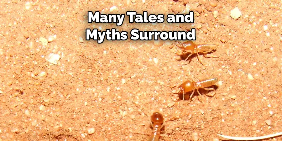 Many Tales and Myths Surround
