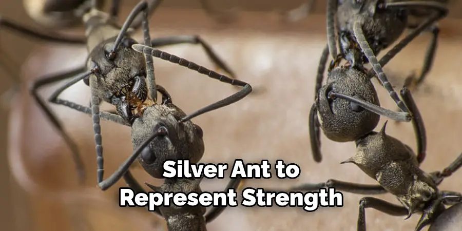 Many Tribes Have Used the Silver Ant to Represent Strength