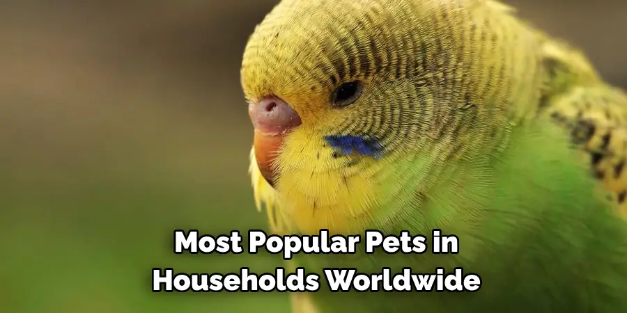 Most Popular Pets in Households Worldwide