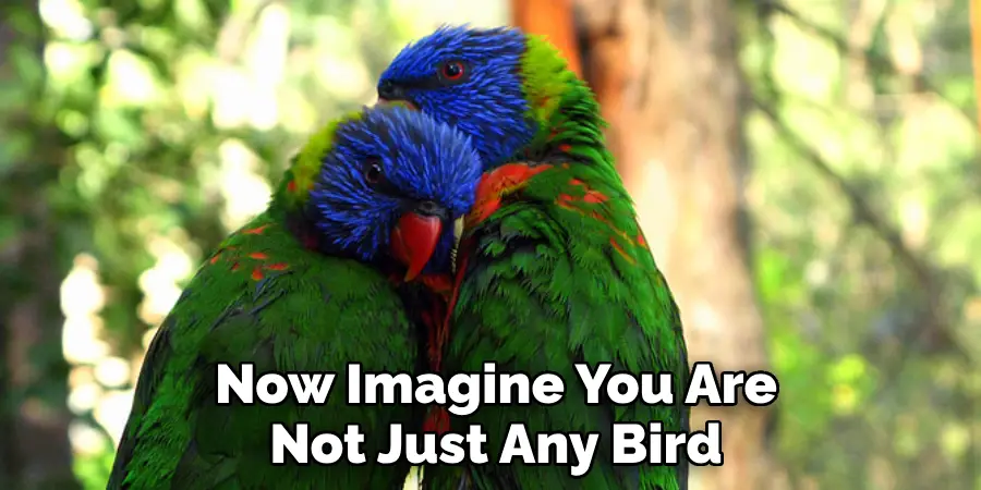 Now Imagine You Are 
Not Just Any Bird 