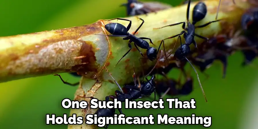 One Such Insect That Holds Significant Meaning
