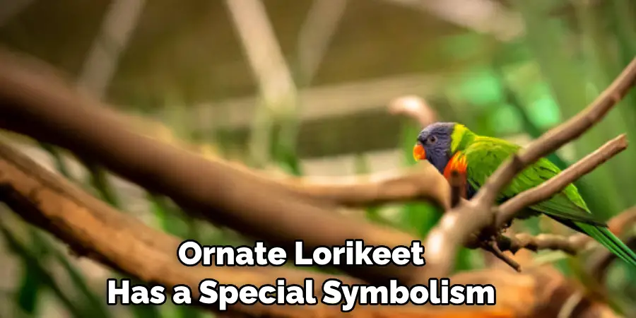 Ornate Lorikeet Has a Special Symbolism