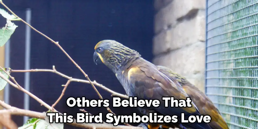 Others Believe That 
This Bird Symbolizes Love
