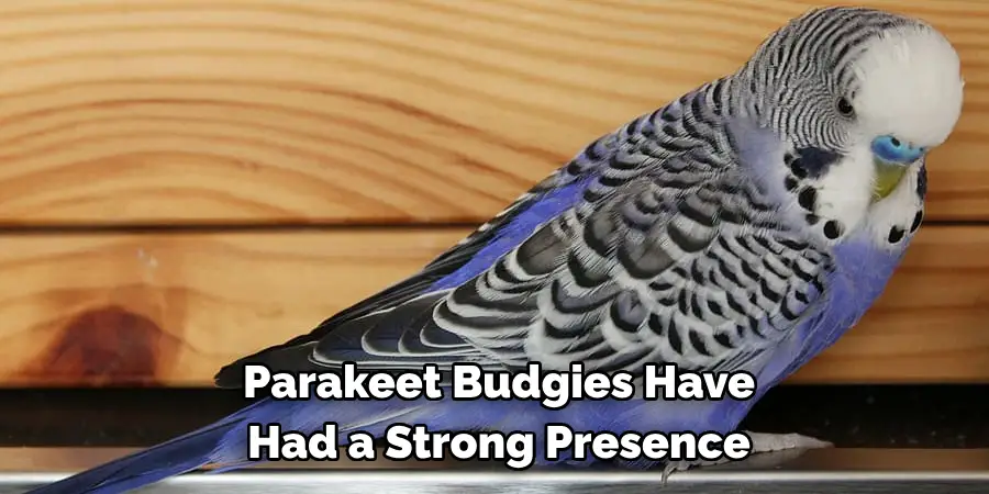 Parakeet Budgies Have Had a Strong Presence