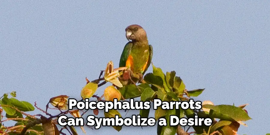 Poicephalus Parrots Can Symbolize a Desire