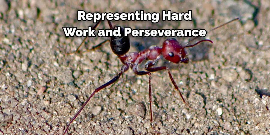 Representing Hard 
Work and Perseverance