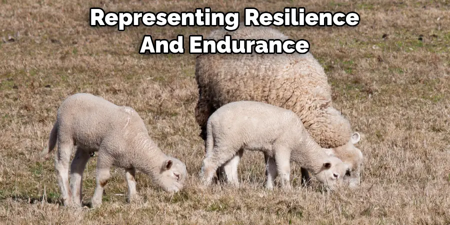 Representing Resilience 
And Endurance