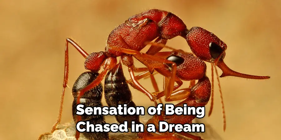Sensation of Being Chased in a Dream