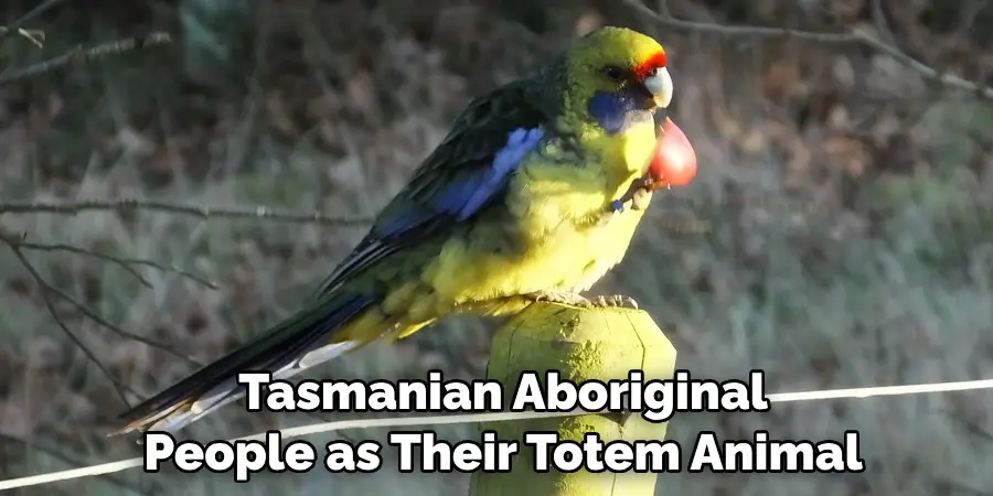 Tasmanian Aboriginal People as Their Totem Animal