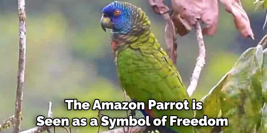 The Amazon Parrot is Seen as a Symbol of Freedom