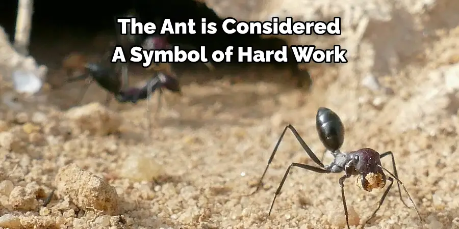 The Ant is Considered 
A Symbol of Hard Work