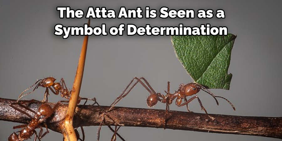 The Atta Ant is Seen as a Symbol of Determination