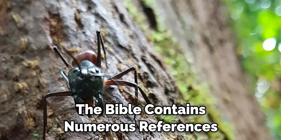 The Bible Contains Numerous References