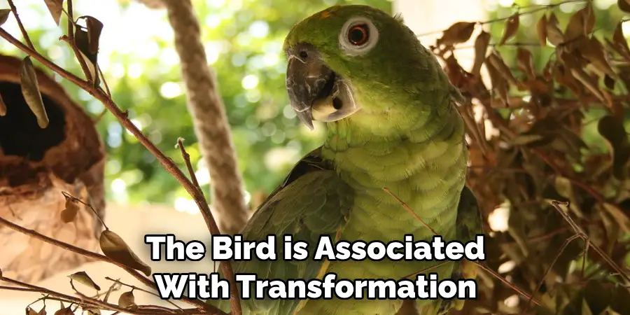 The Bird is Associated With Transformation