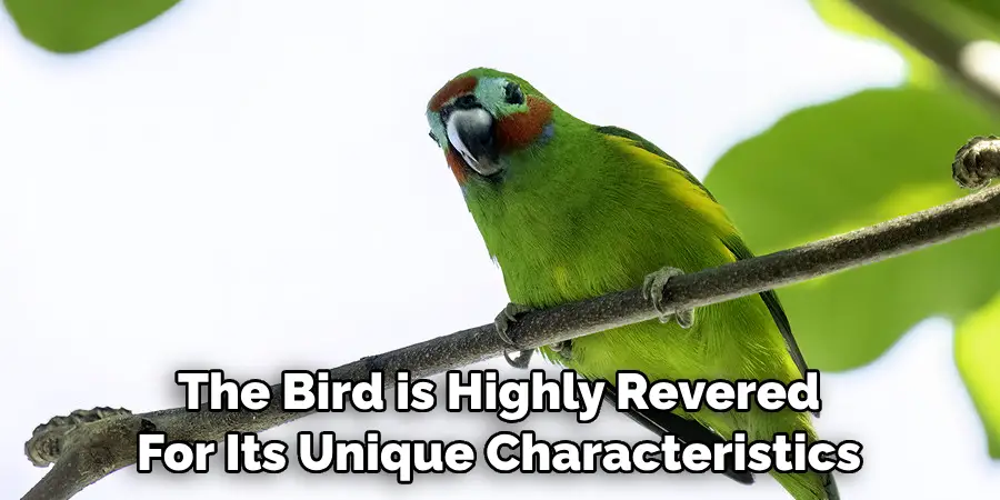 The Bird is Highly Revered For Its Unique Characteristics