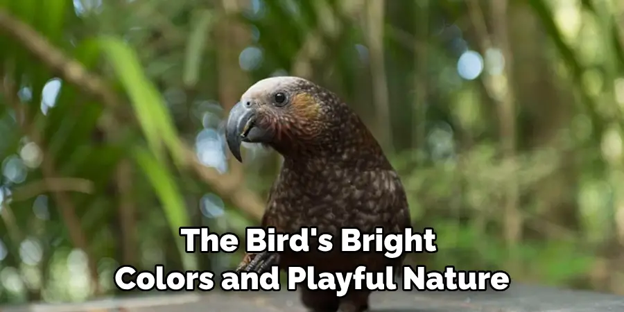 The Bird's Bright Colors and Playful Nature