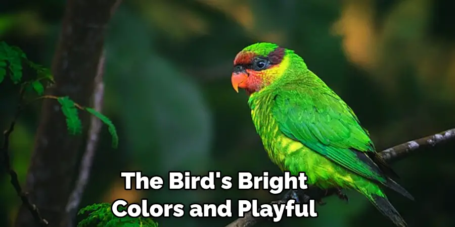 The Bird's Bright Colors and Playful