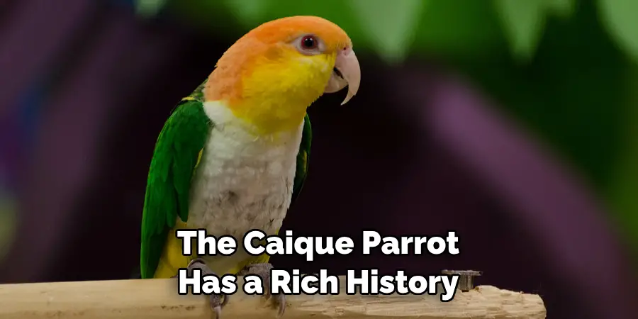 The Caique Parrot Has a Rich History