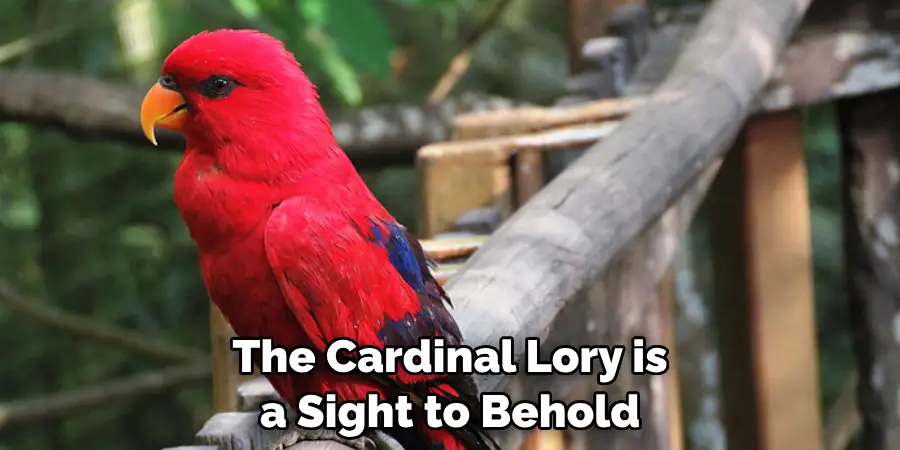 The Cardinal Lory is a Sight to Behold
