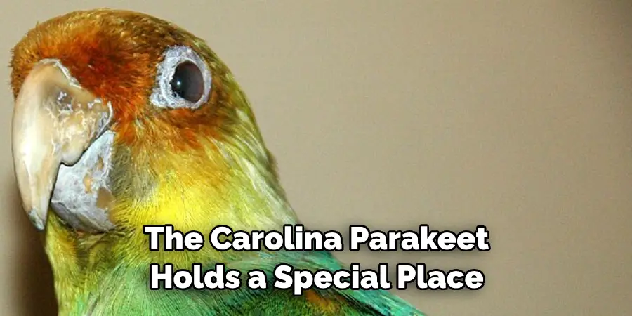 The Carolina Parakeet Holds a Special Place