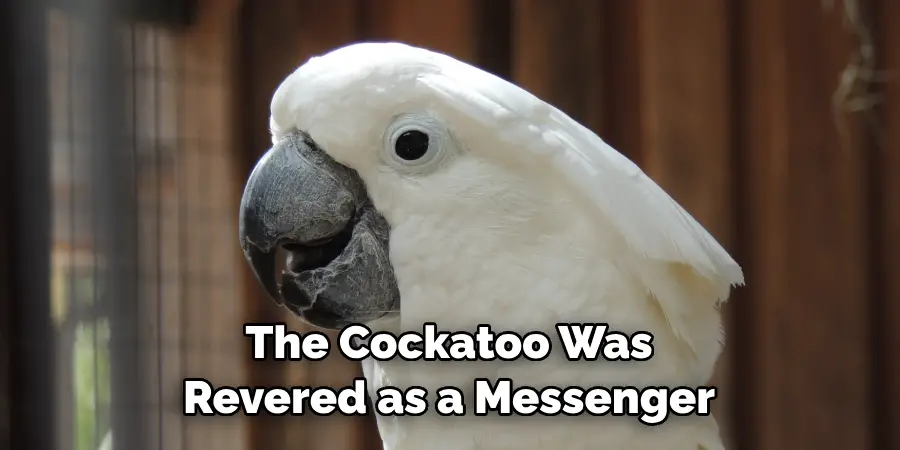 The Cockatoo Was Revered as a Messenger